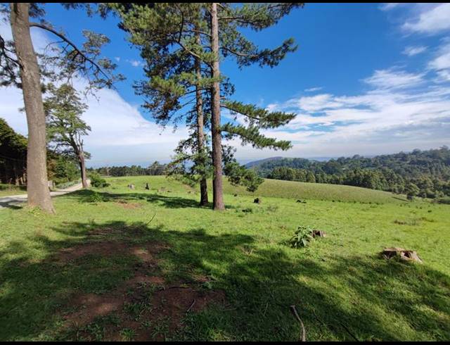 LAND FOR SALE IN WINTERSKLOOF